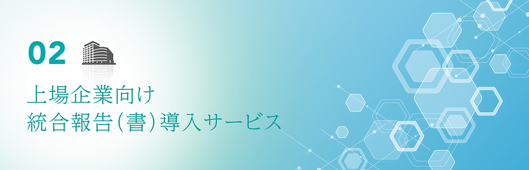 02　上場企業向け統合報告（書）導入サービス