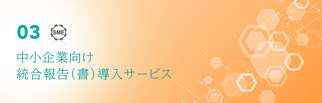 03　中小企業向け統合報告（書）導入サービス